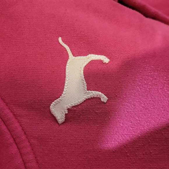 PINK Victoria's Secret Hoodie - Picture 6 of 15